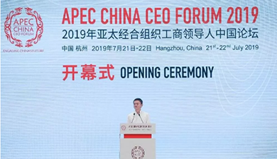 2019APEC工商领导人峰会,亿联网络打造海内外“数字化沟通桥梁”