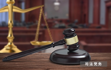 广州司法党务